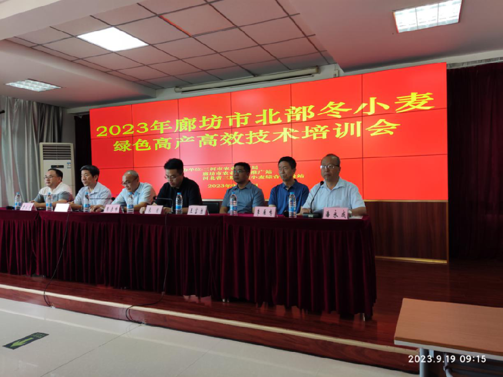 廊坊市召开北部冬小麦绿色高产高效技术培训会